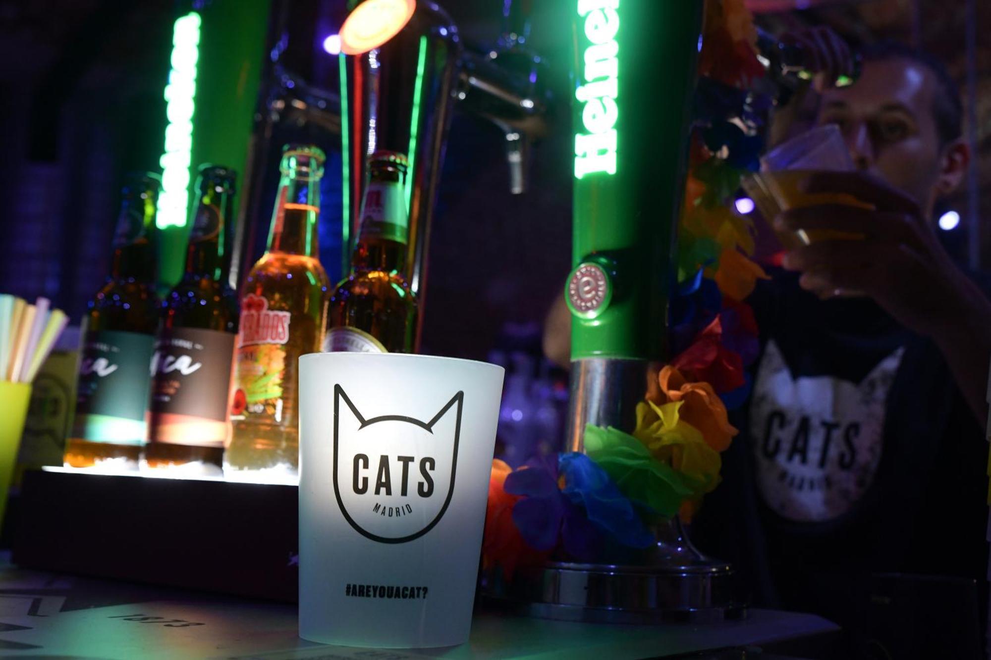 Cats Hostel Madrid Sol — Photos 3